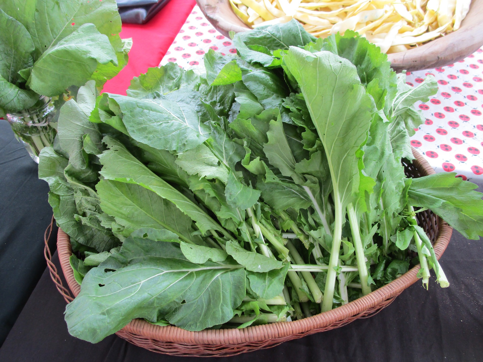 Winter wellness involves a nourishing journey with leafy greens