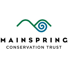 EBCI citizen named Mainspring director